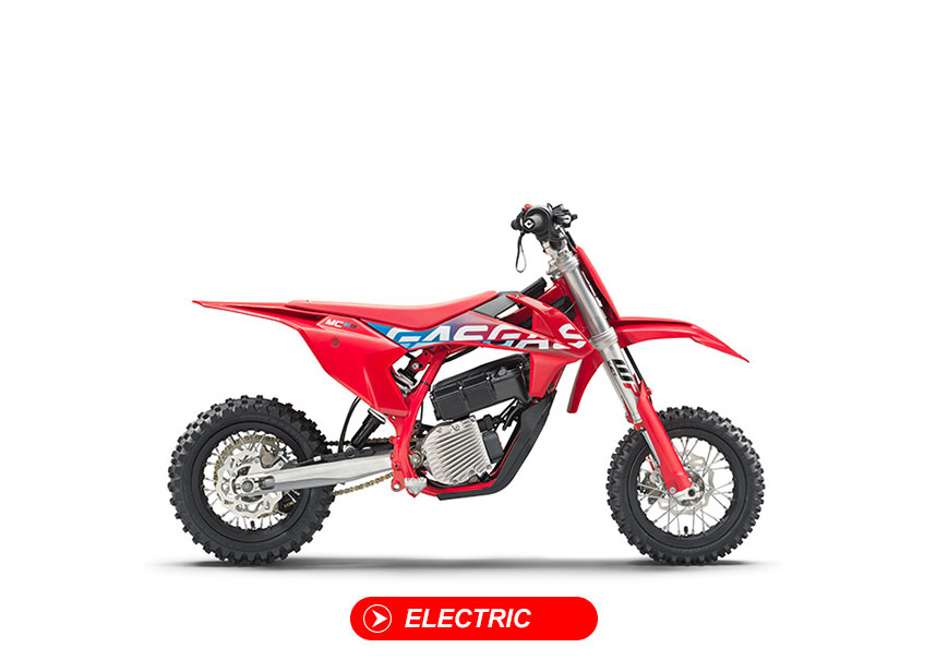 ELECTRIC GASGAS